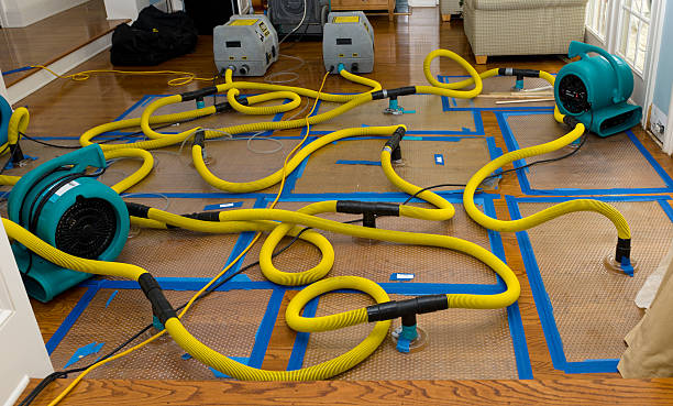 Professional Water Damage Restoration technician working in Bear Creek, FL